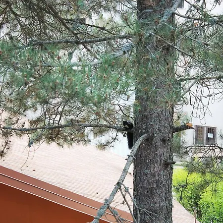 Attico Caratteristico 7 Posti Letto Moccone Di Camigliatello 度假居 Spezzano della Sila